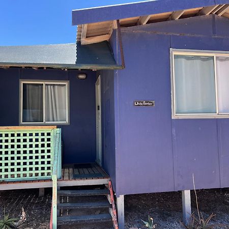 Shark Bay Cottages Denham Exterior foto